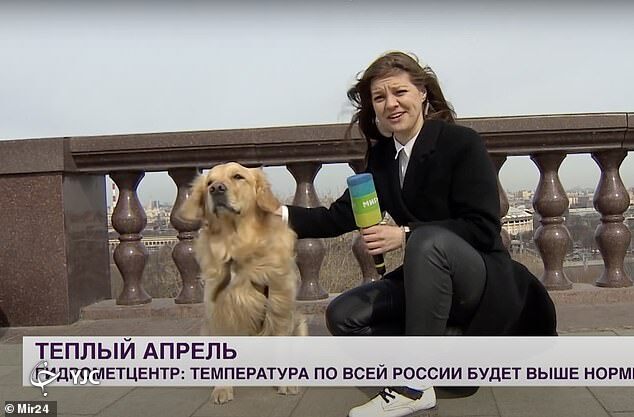 بهت خبرنگار روسی بعد از آنکه یک سگ میکروفونش را دزدید