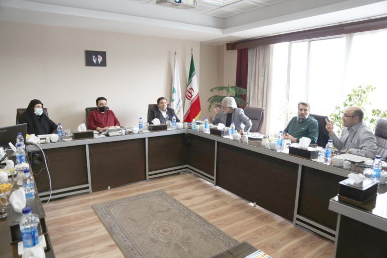 ارائه آزمایشی سامانه اطلاعات یکپارچه هنرمندان (سایه)