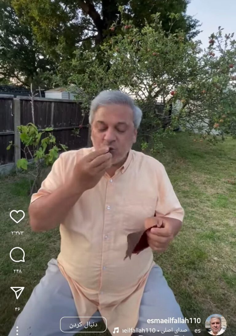 شرایط عجیب اسماعیل فلاح در لندن/ خبرنگار سابق صدا و سیما بلاگر شد!