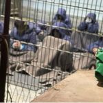 جزئیات تجاوز گروهی به خبرنگار در زندان!