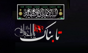 عزاداری اهالی رسانه در شب شهادت اسیر خردسال کربلا