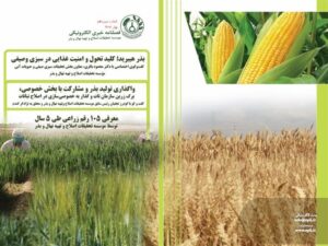 انتشار شماره جدید فصلنامه خبری الكترونیكی موسسه تحقیقات اصلاح و تهیه نهال و بذر